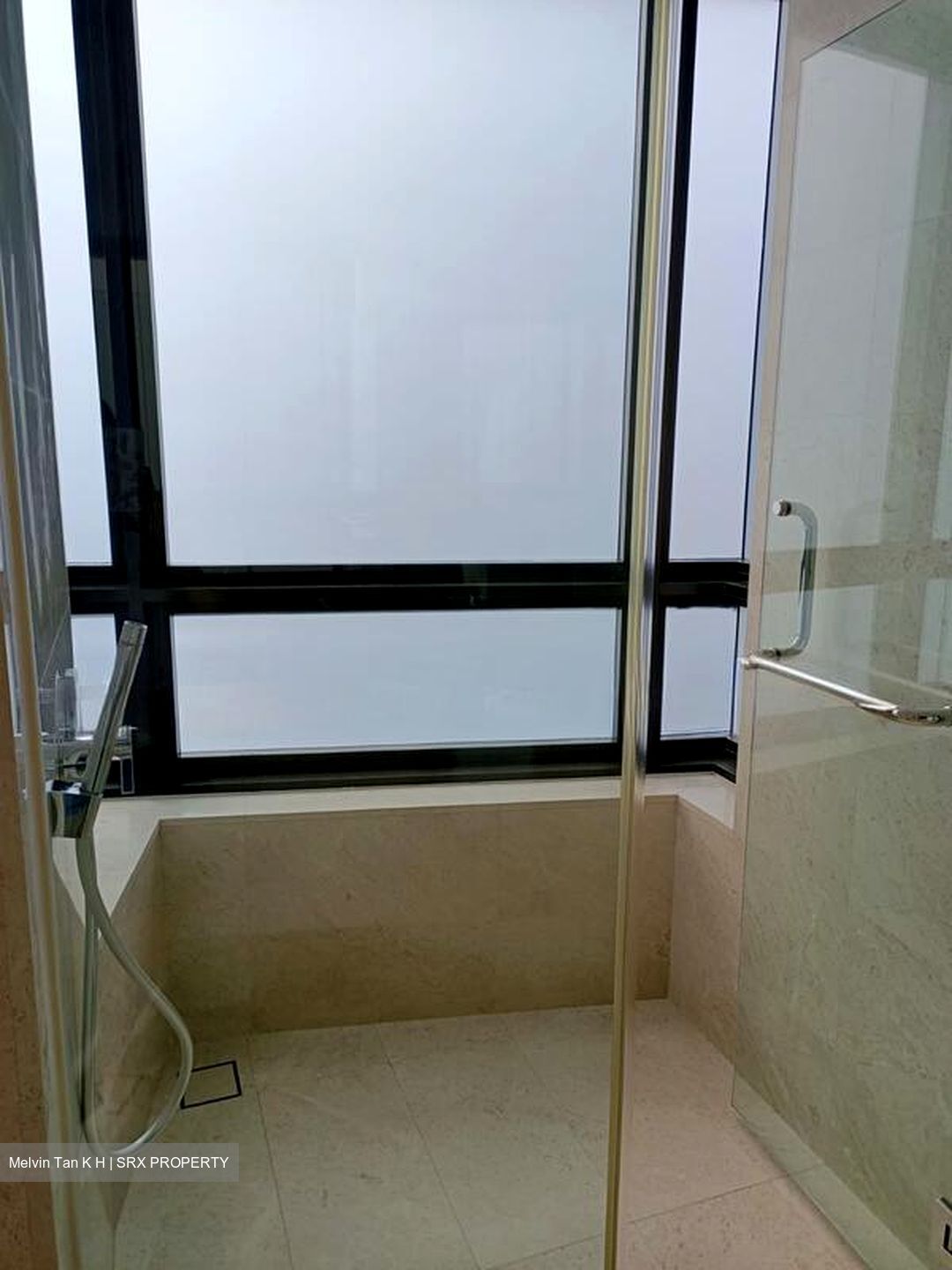 Trilight (D11), Condominium #503059641